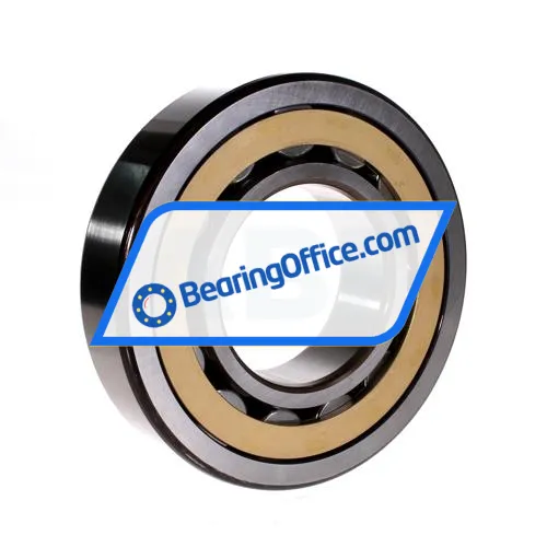 SKF NJ318ECM/C4VA301 bearing image 2