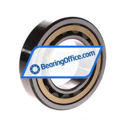 NSK NU209EM CM P5 rulman resim 2