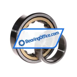 NSK NU209EM CM P5 rulman resim 3