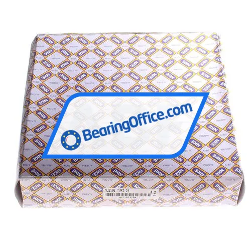 NKE NJ219-E-TVP3-C4 bearing image 5