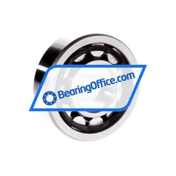 NKE NU305-E-TVP rulman resim 2