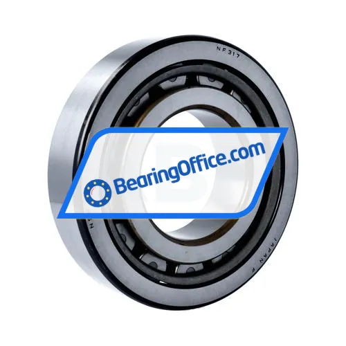 NSK NF317W