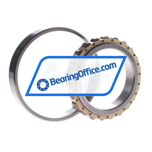 NKE N1018-M-SQ166-OEM bearing image 2