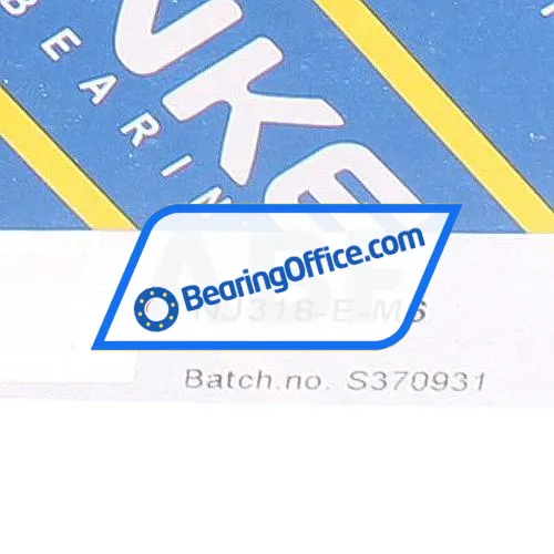 NKE NJ318-E-M6 bearing image 6