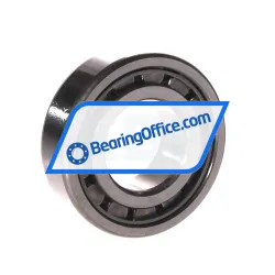 NSK NJ205EW C3 rulman resim 2