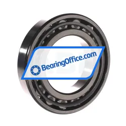 NSK NF218W C3 rulman resim 2