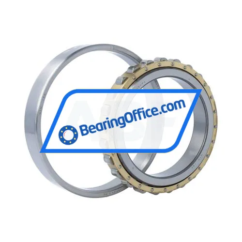 NTN N1019HSKC0NAP4U99 bearing image 3