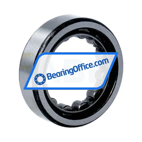IBC Bearings RNU205 bearing image 2