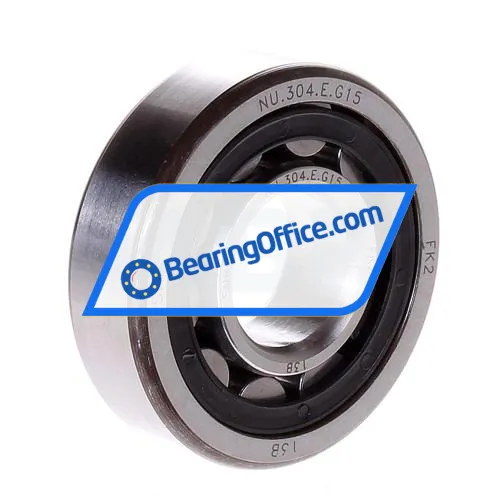 SNR NU304E G15 J30