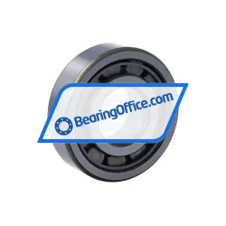 NSK NJ305EW C3 rulman resim 2