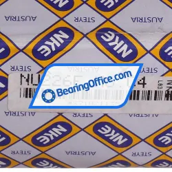 NKE NU226E-M6-C4 rulman resim 6