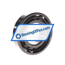 NSK N208WC3 rulman resim 2