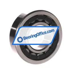 ZKL NJ309 rulman resim 2