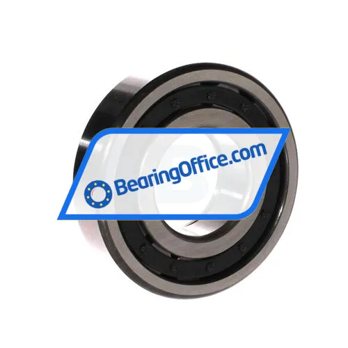 FBJ NUP309E C3 bearing image 2