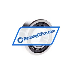 ISB NJ205ECJ rulman resim 3