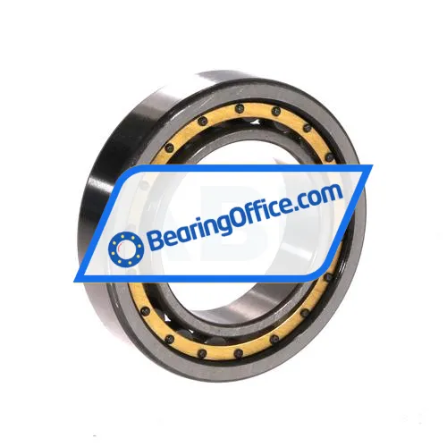 URB NU1009M bearing image 2