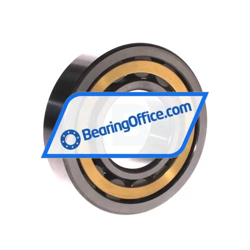 FBJ NU310EM C3 bearing image 2