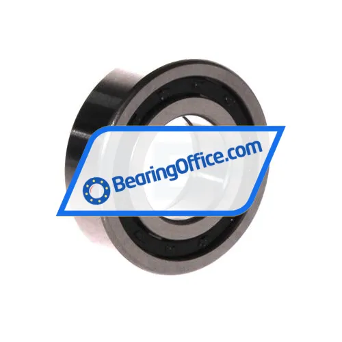 FBJ NUP205E C3 bearing image 2