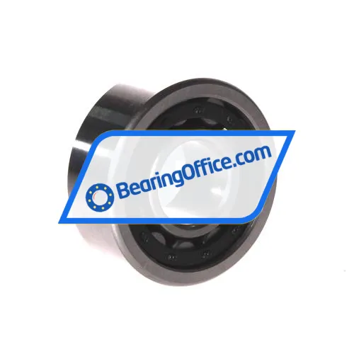 FBJ NU2305E bearing image 2