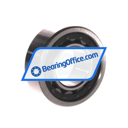FBJ NU2205E C3 bearing image 2