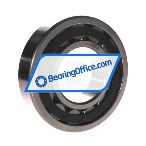 FBJ NU315E C3 bearing image 2