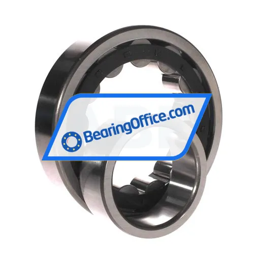 FBJ NU315E C3 bearing image 3