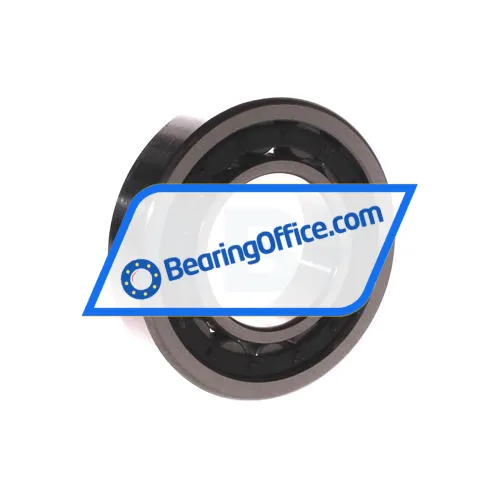 FBJ NU208E bearing image 2