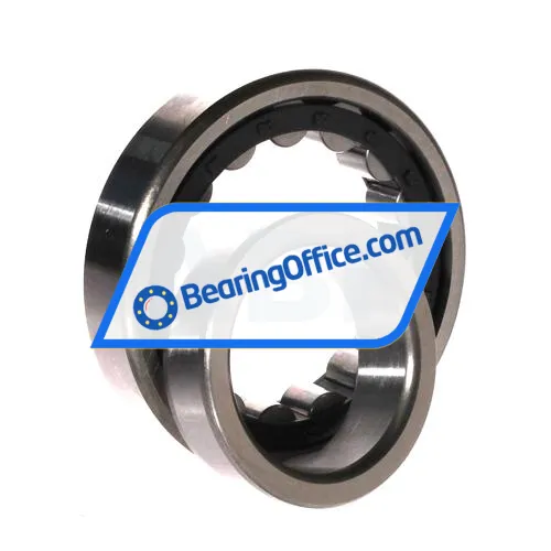 FBJ NJ209E bearing image 3