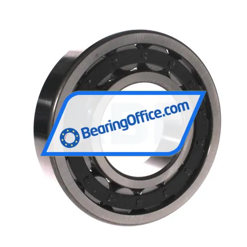 FBJ NU317E bearing image 2