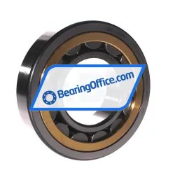 FAG NJ315-E-XL-MPAX-C4