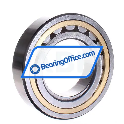 FAG NUP2217-E-MP1A-C3