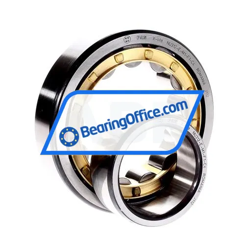 FAG NU312-E-M1-F1-C4 bearing image 2