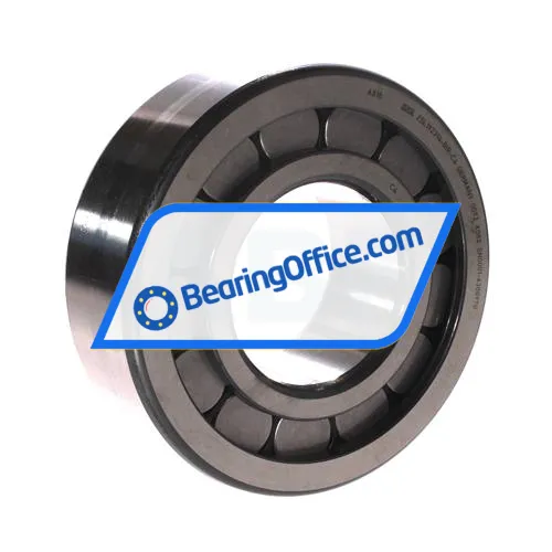 INA ZSL192314-BIR-C4