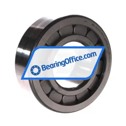 INA ZSL192314-BIR-C4