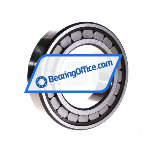 INA SL18-2216A C3 bearing image 2