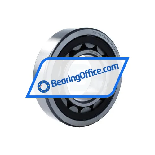 INA NJ315-E-XL-TVP2-C4