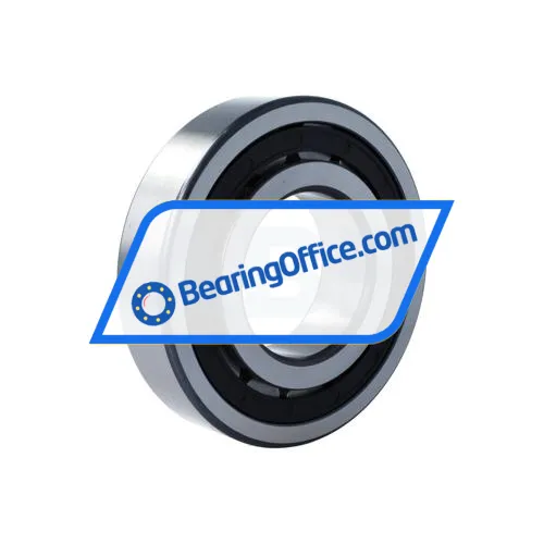 INA NJ315-E-XL-TVP2-C4 bearing image 2