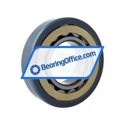 SKF NU317ECM/C3VL0241 rulman resim 2