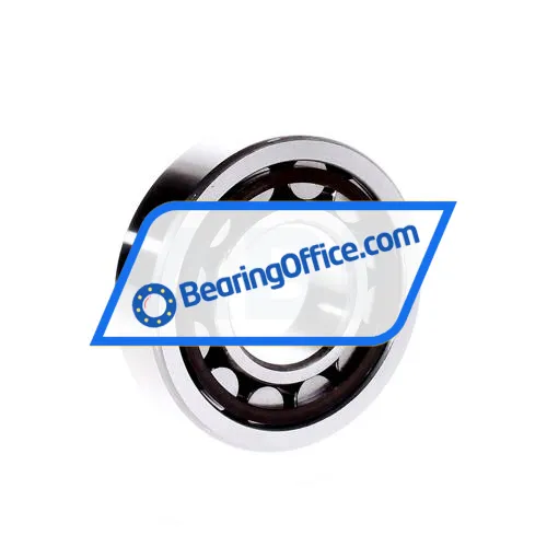 NKE NU307E TVP bearing image 3