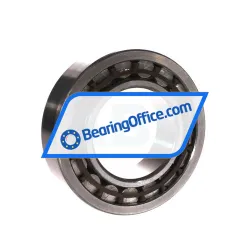 Steyr NU2213E/TGP rulman resim 2