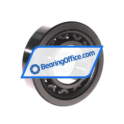 NSK NU309W C3 X28 bearing image 2
