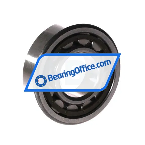FIS NU307ECP bearing image 2