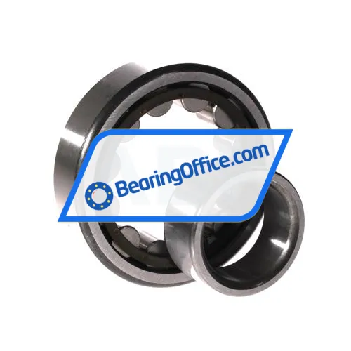 FIS NU307ECP bearing image 3