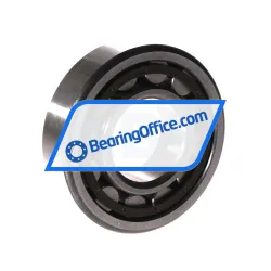 FIS NU307ECP rulman resim 2