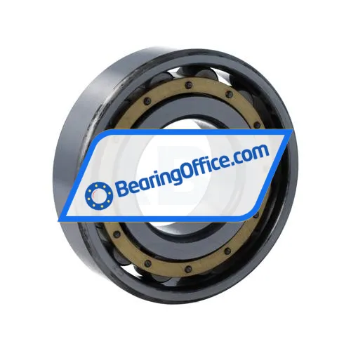 Rollway N310MC3 bearing image 2