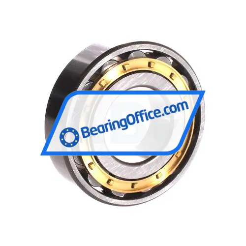 ZWZ N309EM bearing image 2