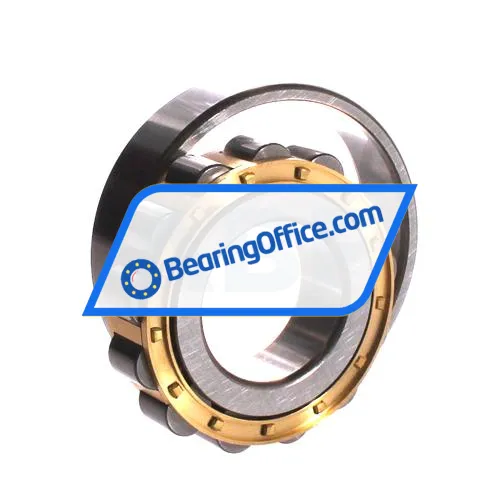 ZWZ N309EM bearing image 3