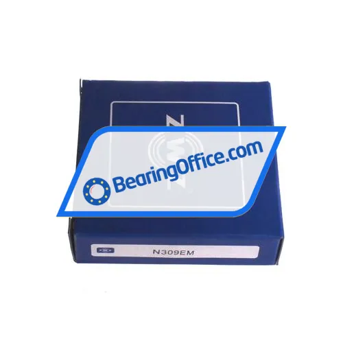 ZWZ N309EM bearing image 4