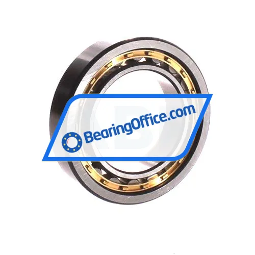 ZWZ NU1009M bearing image 2