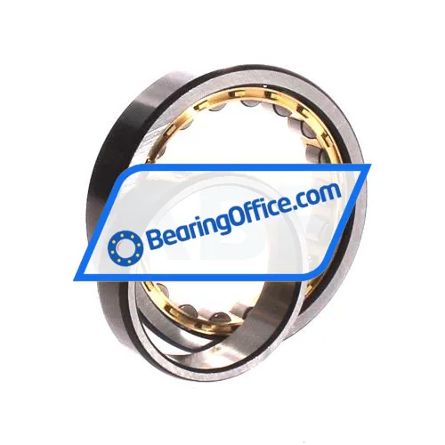 ZWZ NU1009M bearing image 3